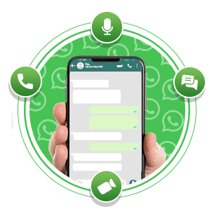 Bulk SMS & WhatsApp API